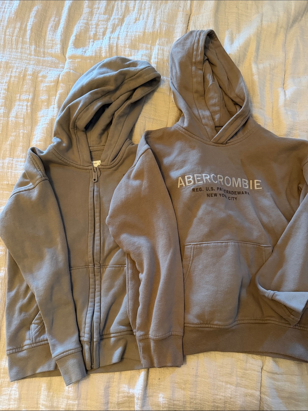 Abercrombie & Fitch Kids Taupe/Brown Hoodies Duo